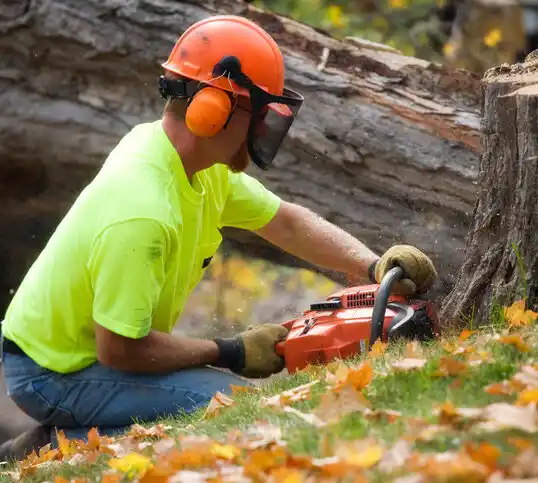 tree services Creighton